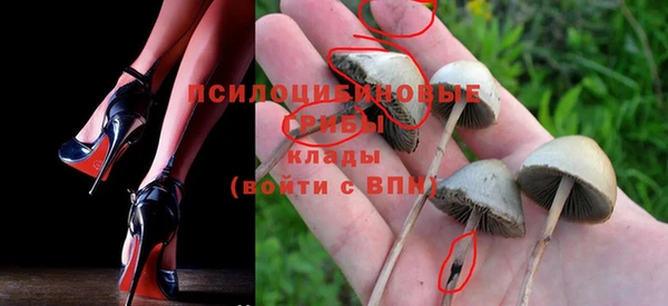 дмт Новозыбков