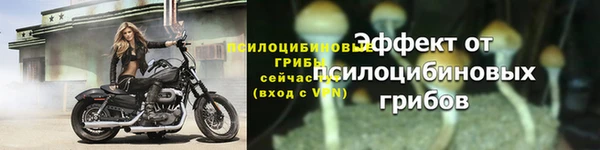 2c-b Новодвинск