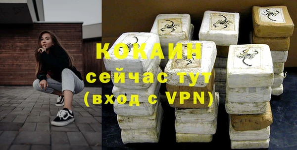 дмт Новозыбков