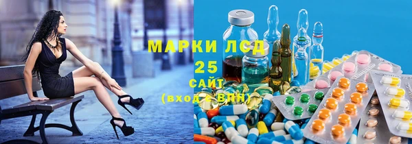 дмт Новозыбков
