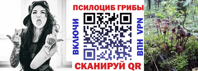 Псилоцибиновые грибы Magic Shrooms  Нестеровская 